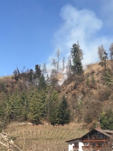 Waldbrand