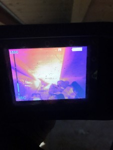 brand 2