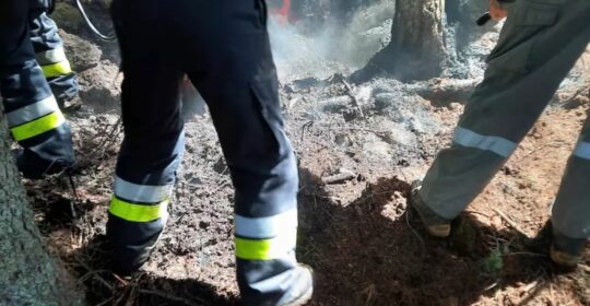 Kleiner Waldbrand am Schennaberg rechtzeitig gelöscht