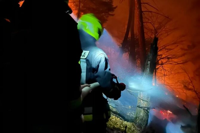 Großer Waldbrand in Marling