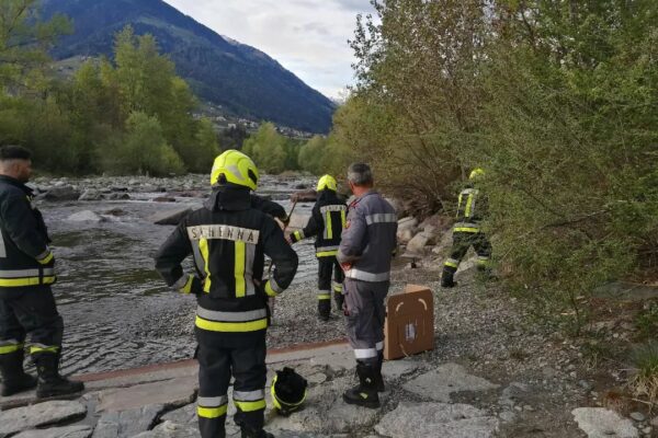 Einsätze Tierrettung und Traktorbergung